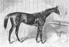 Blair Athol, the Winner of the Derby, 1864. Creator: Unknown