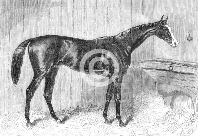 Blair Athol, the Winner of the Derby, 1864. Creator: Unknown.