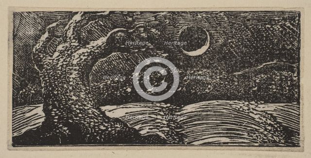 Blasted Trees and Flattened Crops, from Thornton's Pastorals of Virgil, 1821. Creator: William Blake.