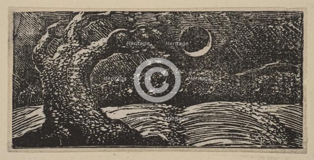 Blasted Trees and Flattened Crops, from Thornton's Pastorals of Virgil, 1821. Creator: William Blake.