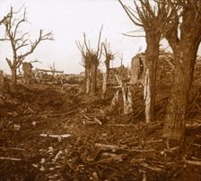 Blasted landscape, Belloy-en-Santerre, northern France, c1914-c1918