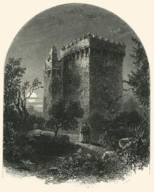 Blarney Castle c1870