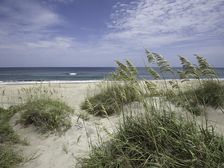 Blessing Place. Creator: Eve Turek