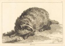 Blereau (Badger). Creator: Jacques Philippe Le Bas