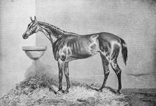 Blink Bonny 1854-1862, (1911)