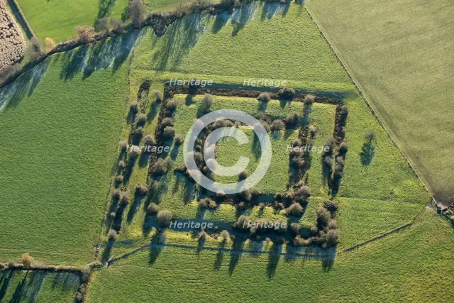 Blithewood Moat, Checkley, Staffordshire, 2016. Artist: Damian Grady.