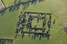 Blithewood Moat, Checkley, Staffordshire, 2016. Artist: Damian Grady