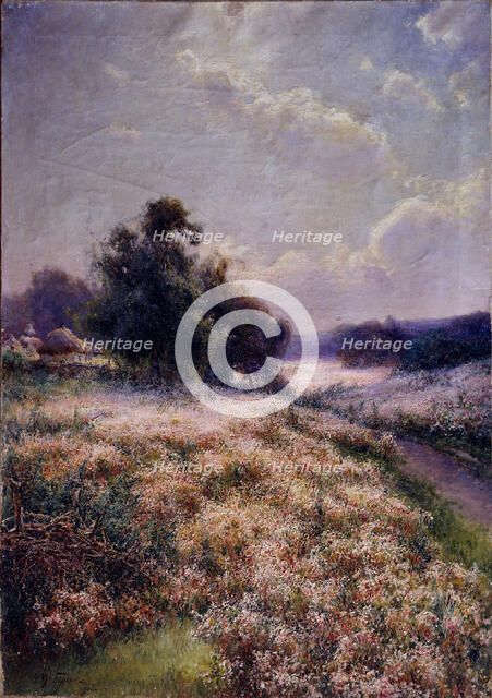 Blooming Meadow, 1906. Artist: Berkos, Mikhail Andreyevich (1861-1919)