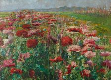 Blooming Poppy, c1895-1900. Creator: Wisinger-Florian, Olga (1844-1926)