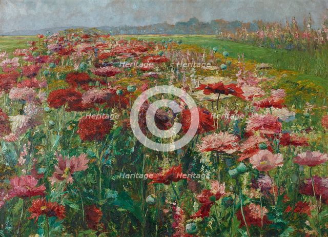 Blooming Poppy, c1895-1900. Creator: Wisinger-Florian, Olga (1844-1926).