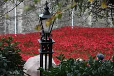 Blood Swept Lands and Seas of Red Tower of London, 2014. Artist: Sheldon Marshall