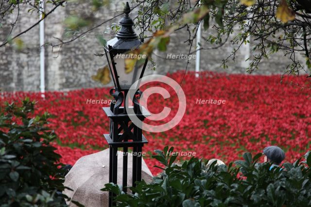 'Blood Swept Lands and Seas of Red', Tower of London, 2014.  Artist: Sheldon Marshall