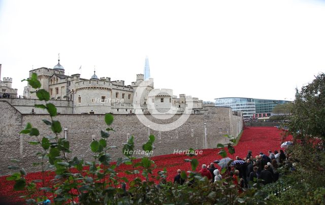 'Blood Swept Lands and Seas of Red', Tower of London, 2014.  Artist: Sheldon Marshall