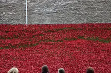 Blood Swept Lands and Seas of Red Tower of London, 2014. Artist: Sheldon Marshall