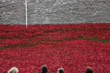 Blood Swept Lands and Seas of Red Tower of London, 2014. Artist: Sheldon Marshall