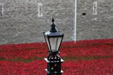 Blood Swept Lands and Seas of Red Tower of London, 2014. Artist: Sheldon Marshall