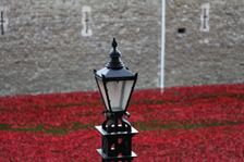 Blood Swept Lands and Seas of Red Tower of London, 2014. Artist: Sheldon Marshall
