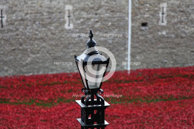 'Blood Swept Lands and Seas of Red', Tower of London, 2014.  Artist: Sheldon Marshall