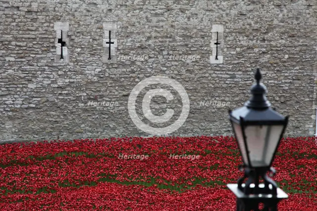 'Blood Swept Lands and Seas of Red', Tower of London, 2014.  Artist: Sheldon Marshall