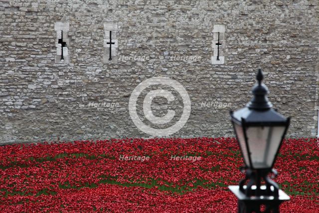 'Blood Swept Lands and Seas of Red', Tower of London, 2014.  Artist: Sheldon Marshall