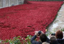 Blood Swept Lands and Seas of Red Tower of London, 2014. Artist: Sheldon Marshall