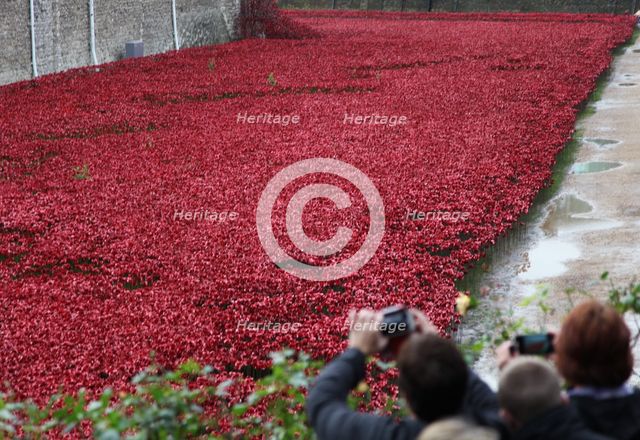 'Blood Swept Lands and Seas of Red', Tower of London, 2014.  Artist: Sheldon Marshall