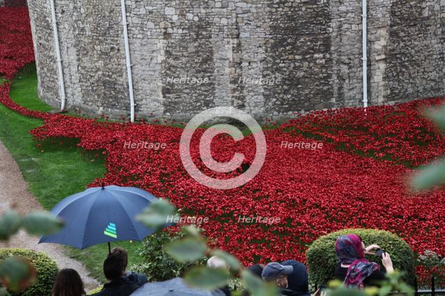 'Blood Swept Lands and Seas of Red', Tower of London, 2014.  Artist: Sheldon Marshall