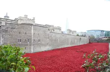 Blood Swept Lands and Seas of Red Tower of London, 2014. Artist: Sheldon Marshall