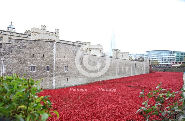 'Blood Swept Lands and Seas of Red', Tower of London, 2014.  Artist: Sheldon Marshall