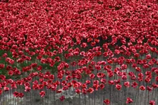 Blood Swept Lands and Seas of Red Tower of London, 2014. Artist: Sheldon Marshall