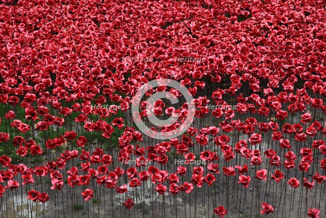 'Blood Swept Lands and Seas of Red', Tower of London, 2014.  Artist: Sheldon Marshall