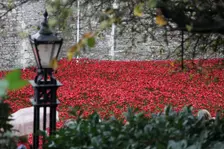Blood Swept Lands and Seas of Red Tower of London, 2014. Artist: Sheldon Marshall