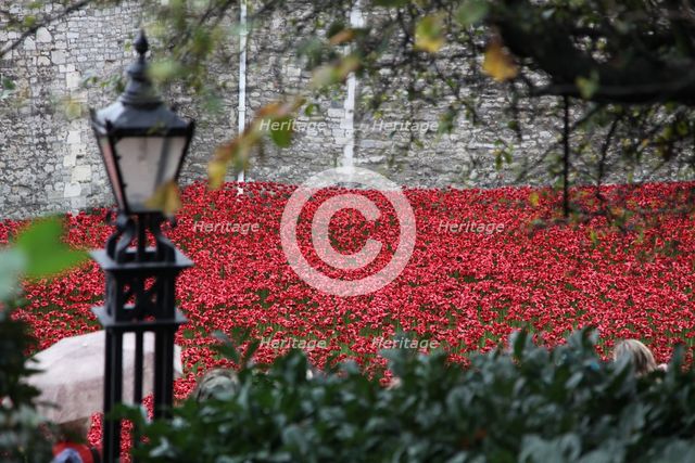 'Blood Swept Lands and Seas of Red', Tower of London, 2014.  Artist: Sheldon Marshall