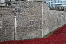 Blood Swept Lands and Seas of Red Tower of London, 2014. Artist: Sheldon Marshall