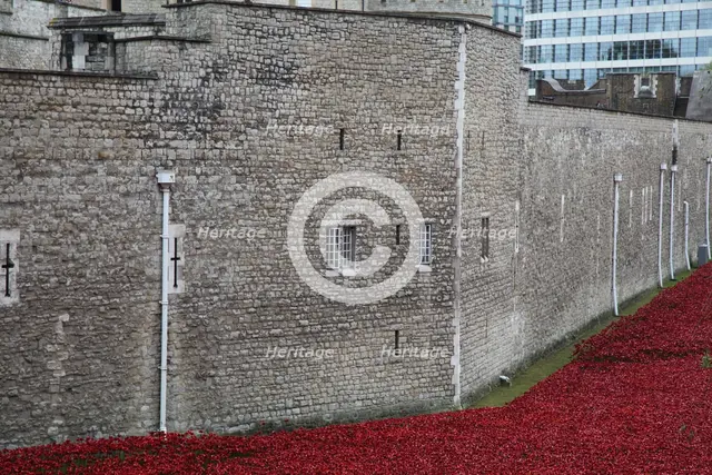 'Blood Swept Lands and Seas of Red', Tower of London, 2014.  Artist: Sheldon Marshall