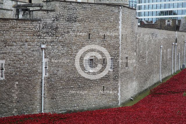 'Blood Swept Lands and Seas of Red', Tower of London, 2014.  Artist: Sheldon Marshall