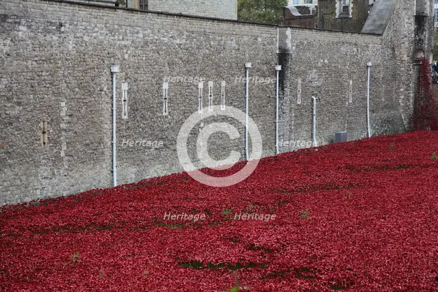 'Blood Swept Lands and Seas of Red', Tower of London, 2014.  Artist: Sheldon Marshall