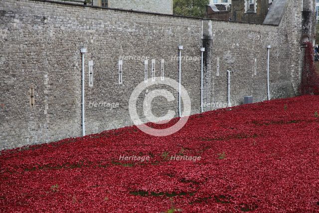 'Blood Swept Lands and Seas of Red', Tower of London, 2014.  Artist: Sheldon Marshall