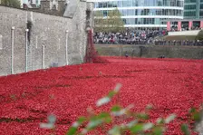 Blood Swept Lands and Seas of Red Tower of London, 2014. Artist: Sheldon Marshall