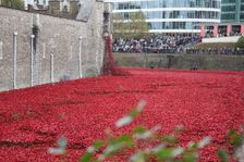 Blood Swept Lands and Seas of Red Tower of London, 2014. Artist: Sheldon Marshall