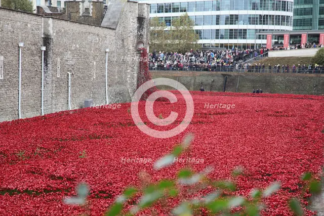 'Blood Swept Lands and Seas of Red', Tower of London, 2014.  Artist: Sheldon Marshall