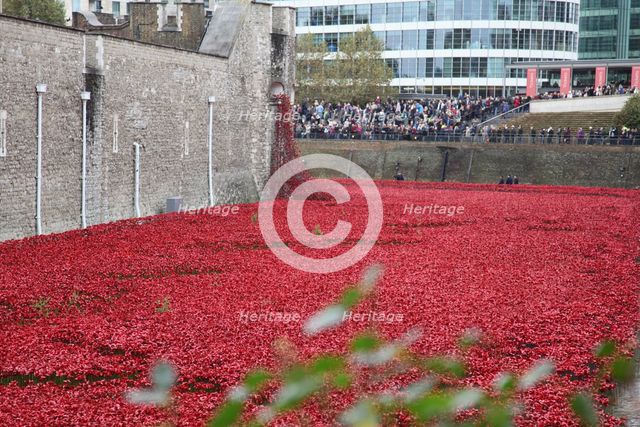 'Blood Swept Lands and Seas of Red', Tower of London, 2014.  Artist: Sheldon Marshall