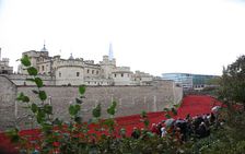 Blood Swept Lands and Seas of Red Tower of London, 2014. Artist: Sheldon Marshall