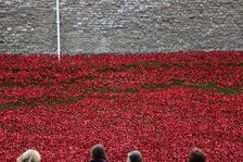 Blood Swept Lands and Seas of Red Tower of London, 2014. Artist: Sheldon Marshall