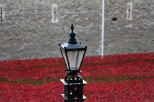 Blood Swept Lands and Seas of Red Tower of London, 2014. Artist: Sheldon Marshall