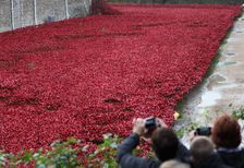 Blood Swept Lands and Seas of Red Tower of London, 2014. Artist: Sheldon Marshall