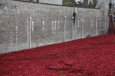Blood Swept Lands and Seas of Red Tower of London, 2014. Artist: Sheldon Marshall