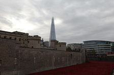 Blood Swept Lands and Seas of Red Tower of London, 2014. Artist: Sheldon Marshall