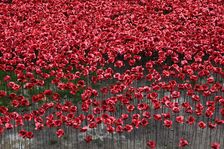 Blood Swept Lands and Seas of Red Tower of London, 2014. Artist: Sheldon Marshall