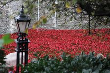 Blood Swept Lands and Seas of Red Tower of London, 2014. Artist: Sheldon Marshall